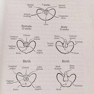 Clitoris pleasure tips Clitoris pleasure tips